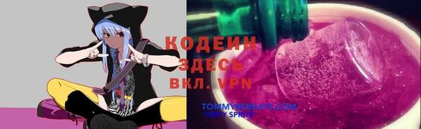 а пвп мука Абаза
