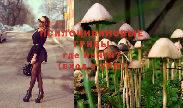 мдпв Абинск