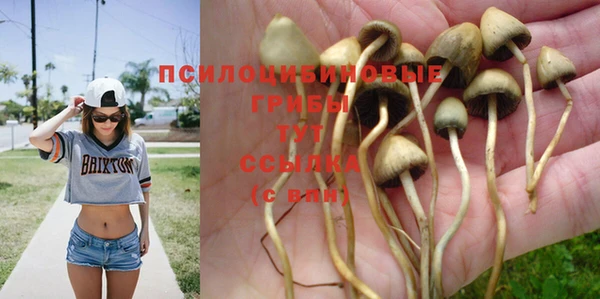 мет Абдулино