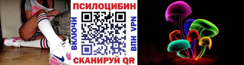 Галлюциногенные грибы Psilocybine cubensis  Щёкино 